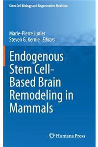 Endogenous Stem Cell-Based Brain Remodeling in Mammals