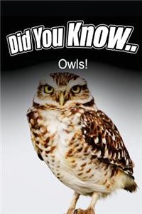 Owls