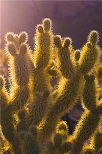 Desert Cactus Journal