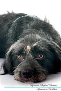 Pyrenean Shepherd Affirmations Workbook Pyrenean Shepherd Presents: Positive and Loving Affirmations Workbook. Includes: Mentoring Questions, Guidance, Supporting You.