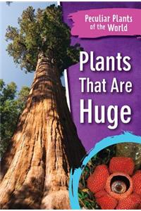 Plants That Are Huge