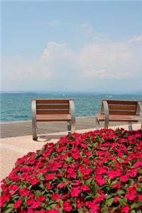 Ocean View Outlook Journal