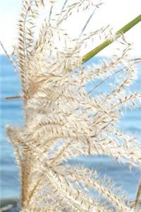 Japanese Silver Grass in Autumn Journal