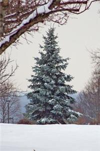 Solitary Snow Covered Evergreen Tree Winter Journal