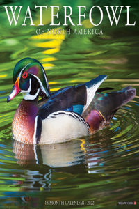 Waterfowl Ducks 2022 Wall Calendar