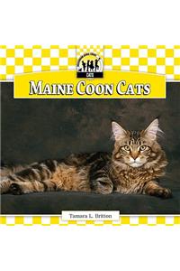 Maine Coon Cats