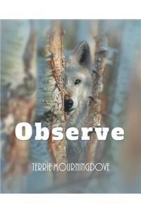 Observe