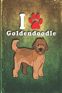 Goldendoodle