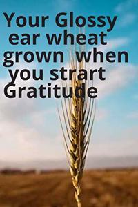Your Glossy ear wheat grown when you start gratitude journal dairy gratitude