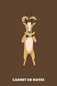 Carnet de Notes
