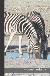 desert zebras