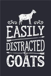 Easily Distracted by Goats
