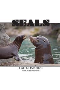 Seals Calendar 2020