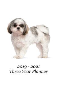 2019