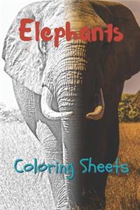 Elephant Coloring Sheets