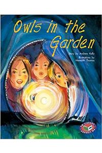 Owls in the Garden PM Gold Set A (Pm Story Books)