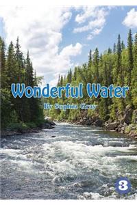 Wonderful Water