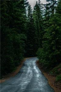 A Road Through the Forest in Oregon Journal