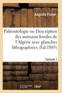 Paléontologie Ou Description Des Animaux Fossiles de l'Algérie Avec Planches Lithographiées