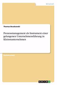 Prozessmanagement als Instrument einer gelungenen Unternehmensführung in Kleinstunternehmen