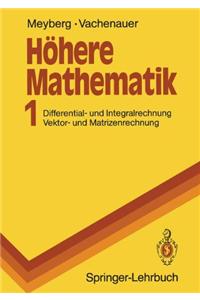 H Here Mathematik 1: Differential- Und Integralrechnung. Vektor- Und Matrizenrechnung