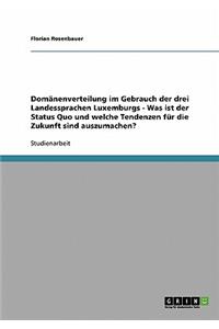 Domänenverteilung im Gebrauch der drei Landessprachen Luxemburgs - Was ist der Status Quo und welche Tendenzen für die Zukunft sind auszumachen?