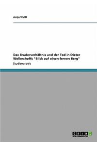 Das Bruderverhältnis und der Tod in Dieter Wellershoffs 