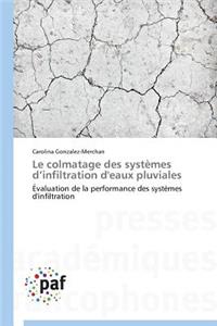 Le Colmatage Des Systèmes D Infiltration d'Eaux Pluviales