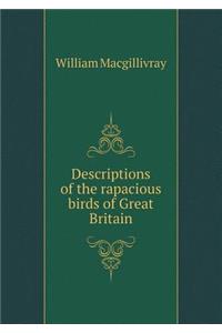 Descriptions of the Rapacious Birds of Great Britain