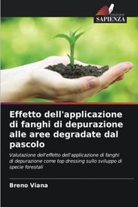 Effetto dell'applicazione di fanghi di depurazione alle aree degradate dal pascolo