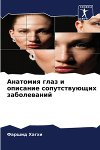 Анатомия глаз и описание сопутствующих за