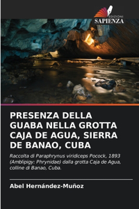 Presenza Della Guaba Nella Grotta Caja de Agua, Sierra de Banao, Cuba