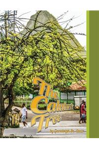 Calabash Tree