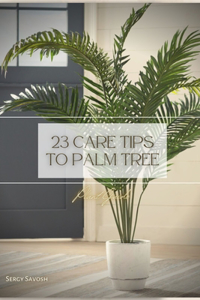 23 Care Tips To Palm Tree