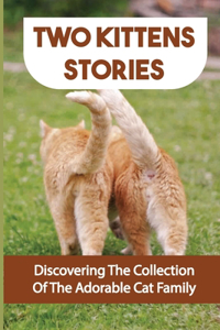 Two Kittens Stories