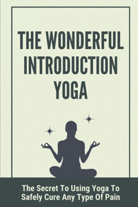 Wonderful Introduction Yoga
