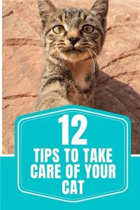 12 Tips To Take Care of Your Cat