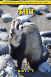 Ferret