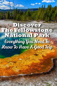 Discover The Yellowstone National Park