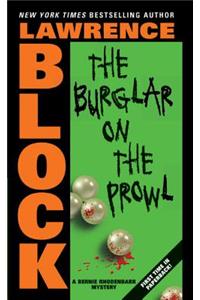 Burglar on the Prowl