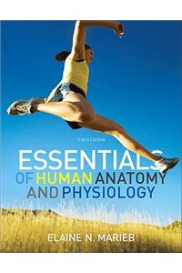 Essentials of Human Anatomy &Physiology