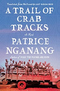 Trail of Crab Tracks