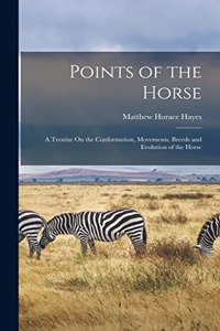 Points of the Horse