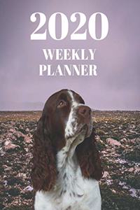 2020 Weekly Planner - Welsh Springer Spaniel