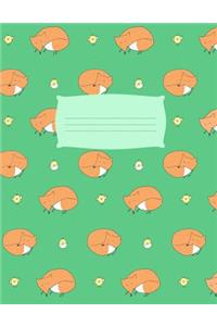 Primary Composition Book