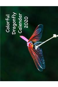 Colorful Dragonfly Calendar 2020