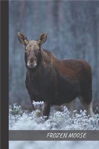 Frozen Moose