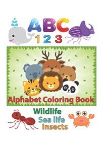 ABC 123 Alphabet Coloring Book