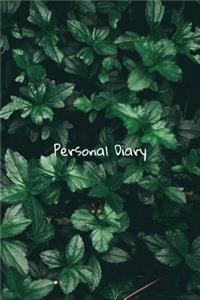 Personal Diary