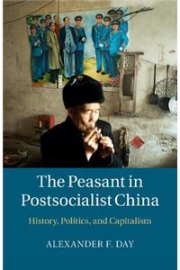 Peasant in Postsocialist China